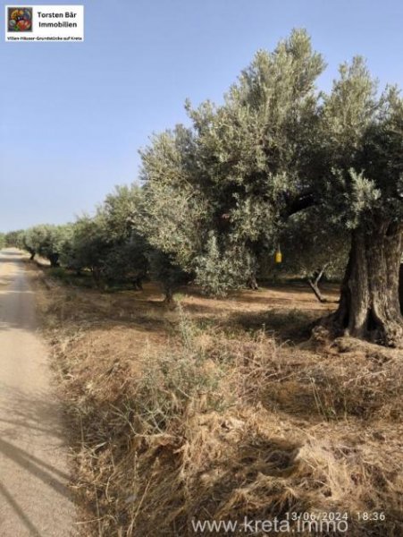 Timpaki Klima Kreta Timbaki außergewöhnliches Baugrundstück Meer- und Bergblick Grundstück kaufen